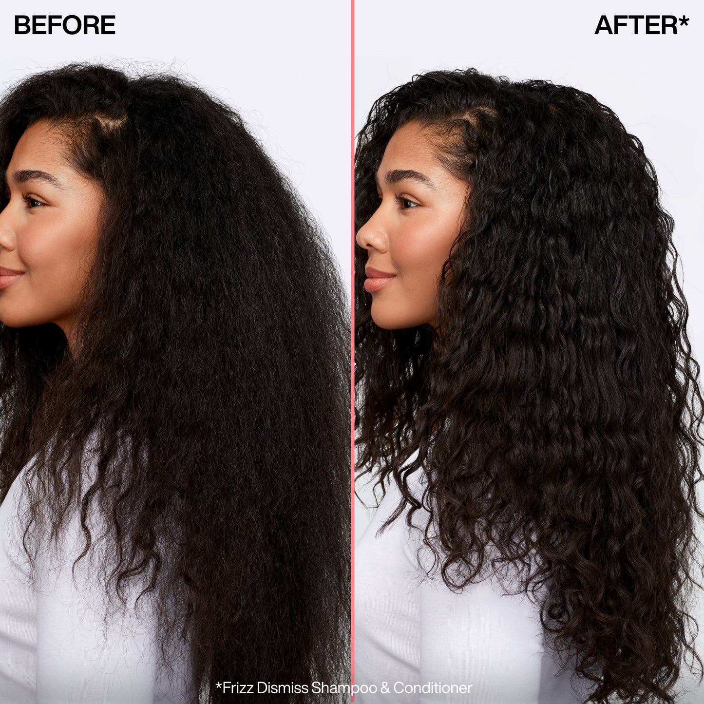 Redken Holiday Frizz Dismiss Duo