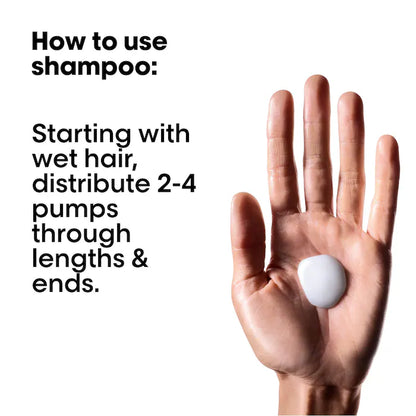 L'Oréal Professionnel  Metal Detox Holiday Kit